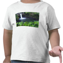 Hawaii, Big Island, Hilo, Rainbow Falls, Lush Tshirt