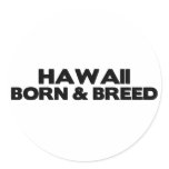 Hawaii-Born & Breed Stickers