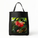 Hawaii botanicals 9b bags