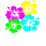 Hawaii Flowers t-shirts