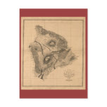 Hawaii Island, 1886, Vintage Hawaiian Map postcards