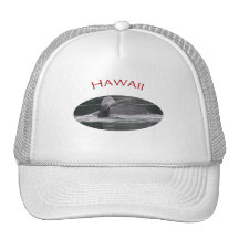 Hawaii Mesh Hats
