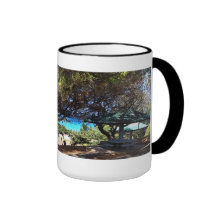 Hawaii Mug