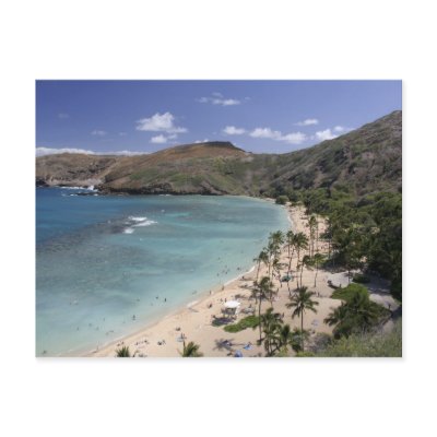 Hawaii paradisiac beach postcard by claudiaf65