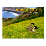 Hawaii State Bird - Nene or Hawaiian Goose Post Cards