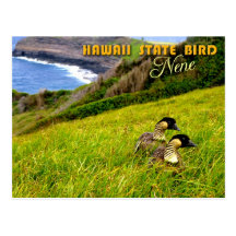 Hawaii State Bird - Nene or Hawaiian Goose Post Cards