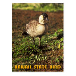 Hawaii State Bird - Nene or Hawaiian Goose Post Cards