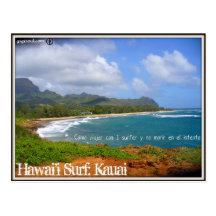 Hawaii Surf Tarjeta Postal