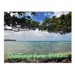 Hawaii Travel Postcard