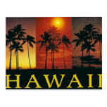 Hawaii Vintage Postcard