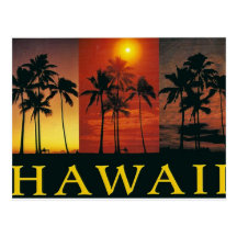 Hawaii Vintage Postcard