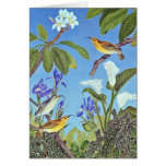 Hawaiian Akiapolaau Greeting Card