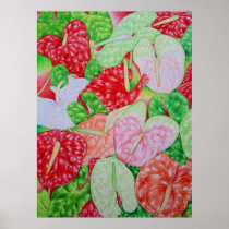 Hawaiian Anthuriums Posters