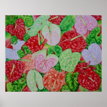 Hawaiian Anthuriums Poster