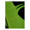 Hawaiian Banana Leaf cards