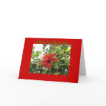 Hawaiian Christmas Card