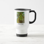Hawaiian Coconut Mugs