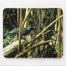 Hawaiian Crow Mouse Pad