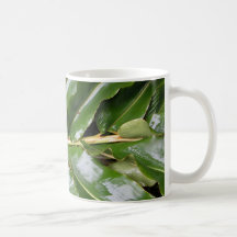 Hawaiian Flora Mugs