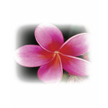Hawaiian Flower Shirt