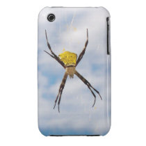Hawaiian Garden Spider iPhone 4 Case-Mate