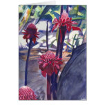 Hawaiian Ginger cards