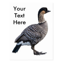 Hawaiian Goose (Nene) Postcard