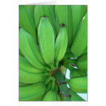 Hawaiian Green Bananas Card