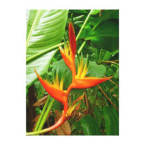 Hawaiian Heliconia Canvas Print