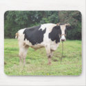 Hawaiian Holstein Bull mousepads