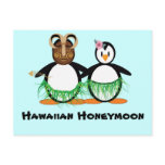Hawaiian Honeymoon postcards