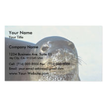 Hawaiian Monk Seal Business Cards