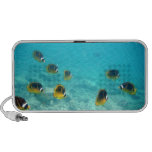 Hawaiian Ocean Speakers