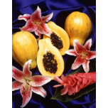 Hawaiian papayas, Carica papaya. t-shirts