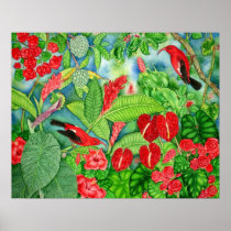 Hawaiian Red I'iwi Garden Print