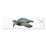 Hawaiian Sea Turtle bumper stickers