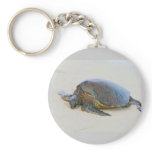 Hawaiian Sea Turtle Keychain
