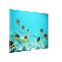 Hawaiian Sealife Wrapped Canvas Stretched Canvas Print