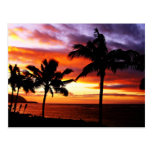Hawaiian Sunset Postcard
