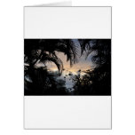 Hawaiian sunset through trees photograph greeting cards