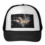 Hawaiian sunset through trees photograph hat