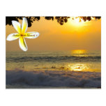 Hawaiian Surfers Postcards
