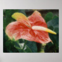 Hawaiian Tropical Anthurium Poster
