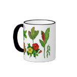 Hawaiian Tropical Botanicals mugs