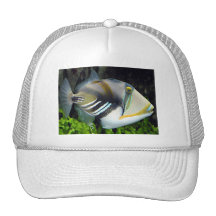 Hawaiian Tropical Fish Hat