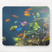 Hawaiian Tropical Fish Mouse Pads