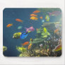 Hawaiian Tropical Fish Mouse Pads