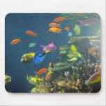 Hawaiian Tropical Fish mousepads
