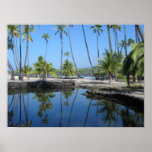Hawaiin Fish Pond Posters