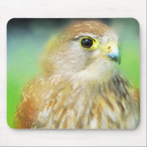 Hawk as a painting mousepads